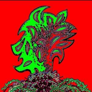 Meet your Posher, Oriana